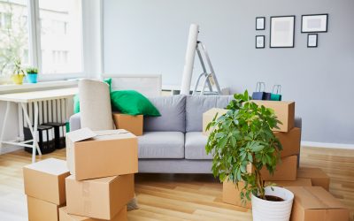 Living Clutter-Free and Moving Discussion