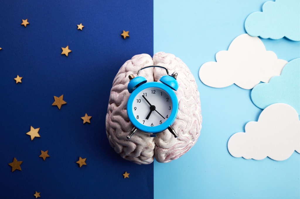 the-circadian-rhythms-are-controlled-by-circadian-clocks-or-biological ...