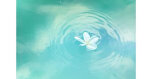 white flower floating in water