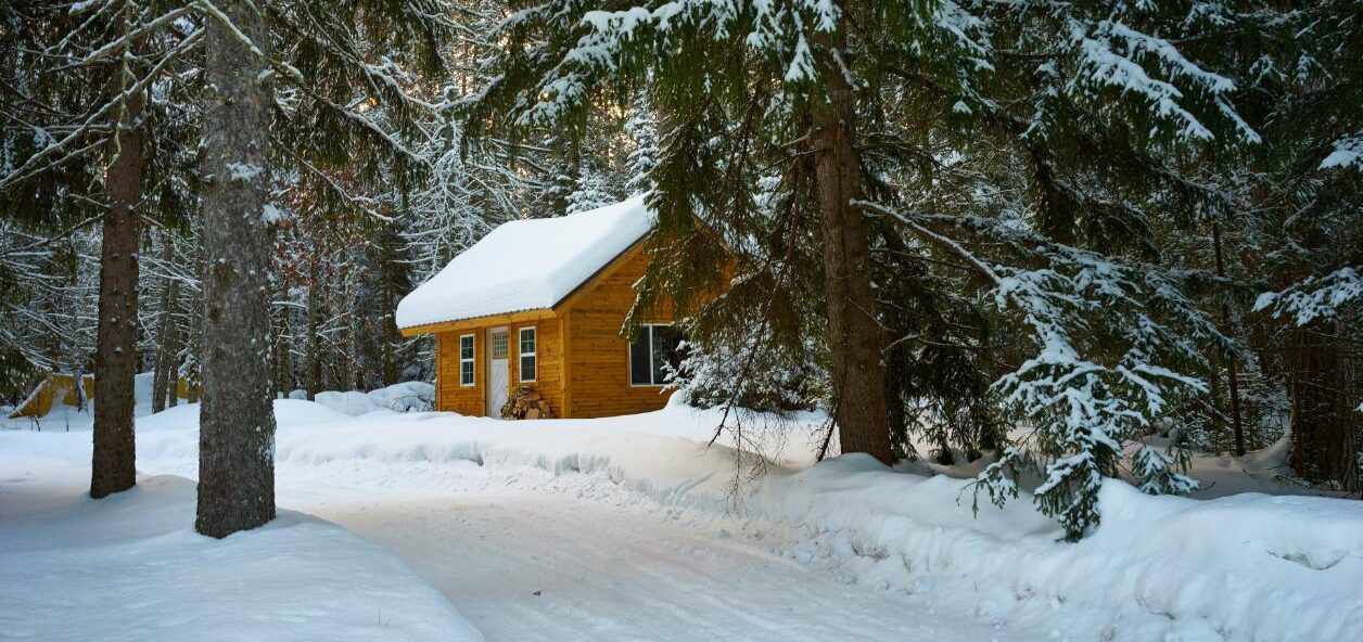 Brown House Near Pine Trees Covered With Snow 