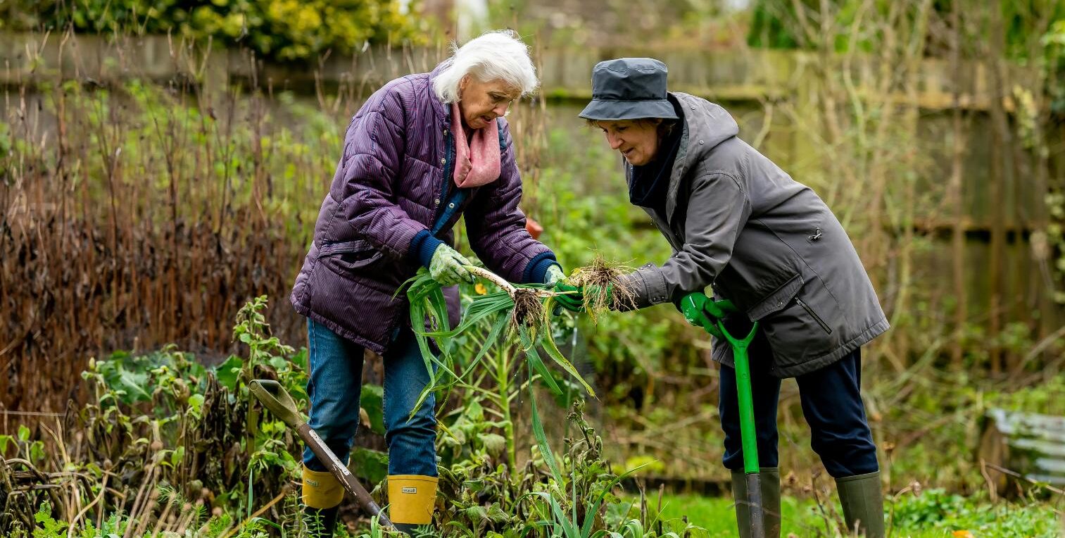 two older women working in a garden together