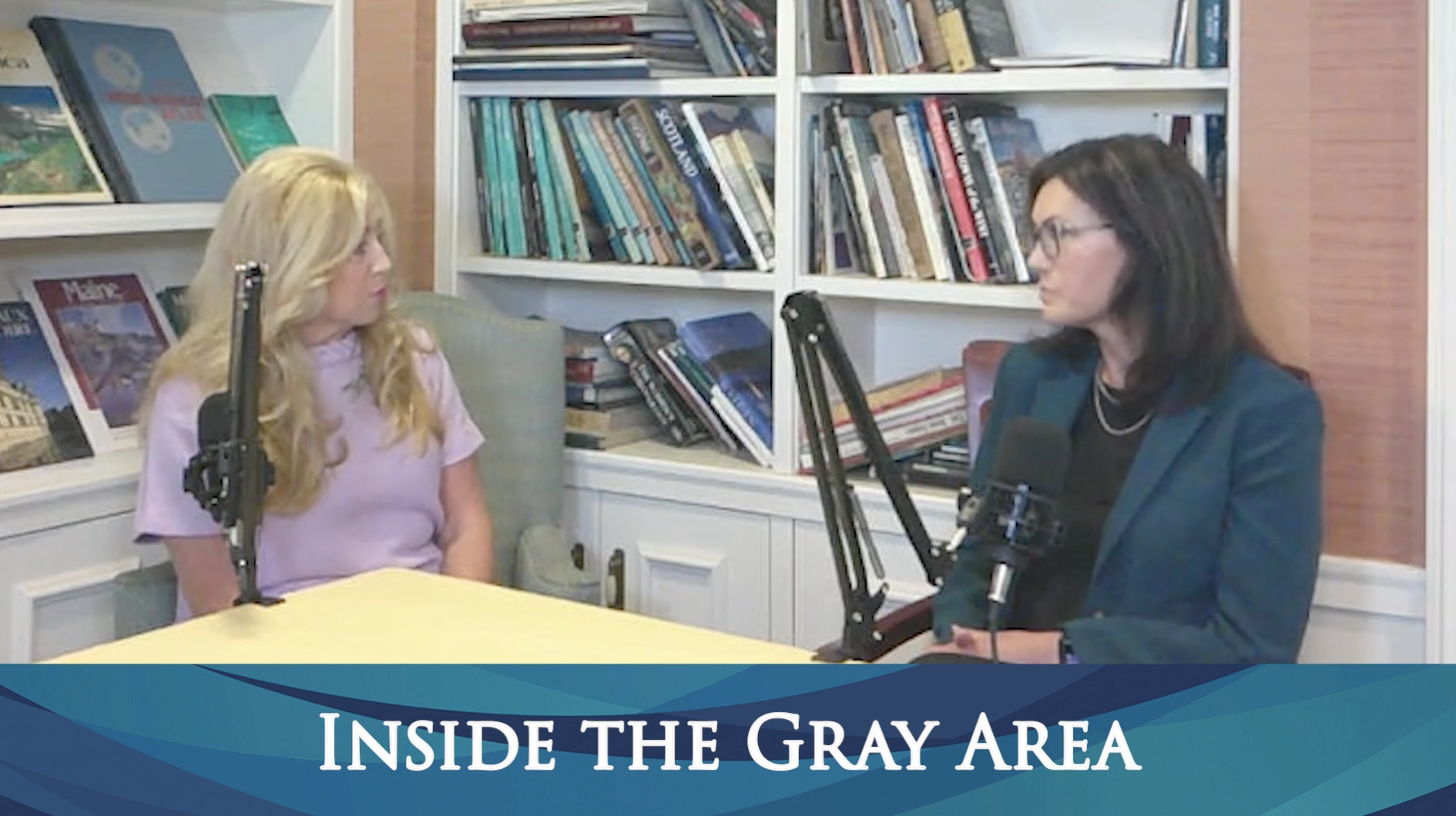 Inside the Gray Area - Amanda Buzo Hickman